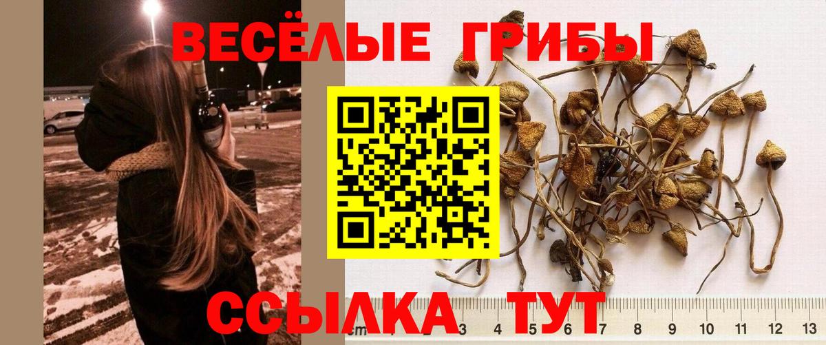 Галлюциногенные грибы прущие грибы  Вход с VPN  Архангельск 