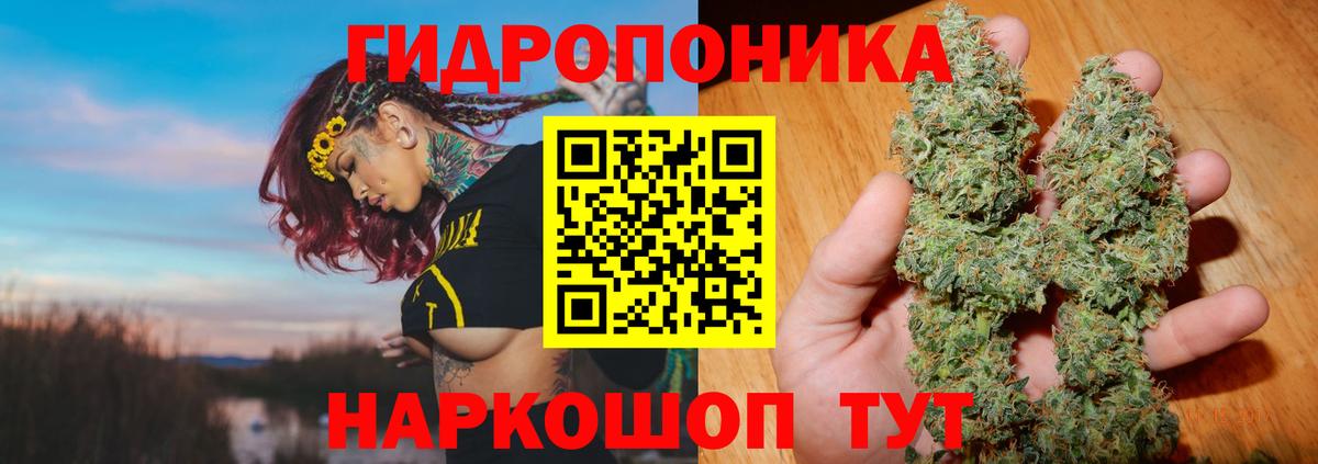 Каннабис MAZAR  Бошки Шишки планчик  Архангельск  Бошки Шишки THC 21%  Вход с VPN  Бошки Шишки Amnesia 